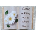 Carte medie decor, Pot totul in Hristos Carte medie decor, Pot totul in Hristos